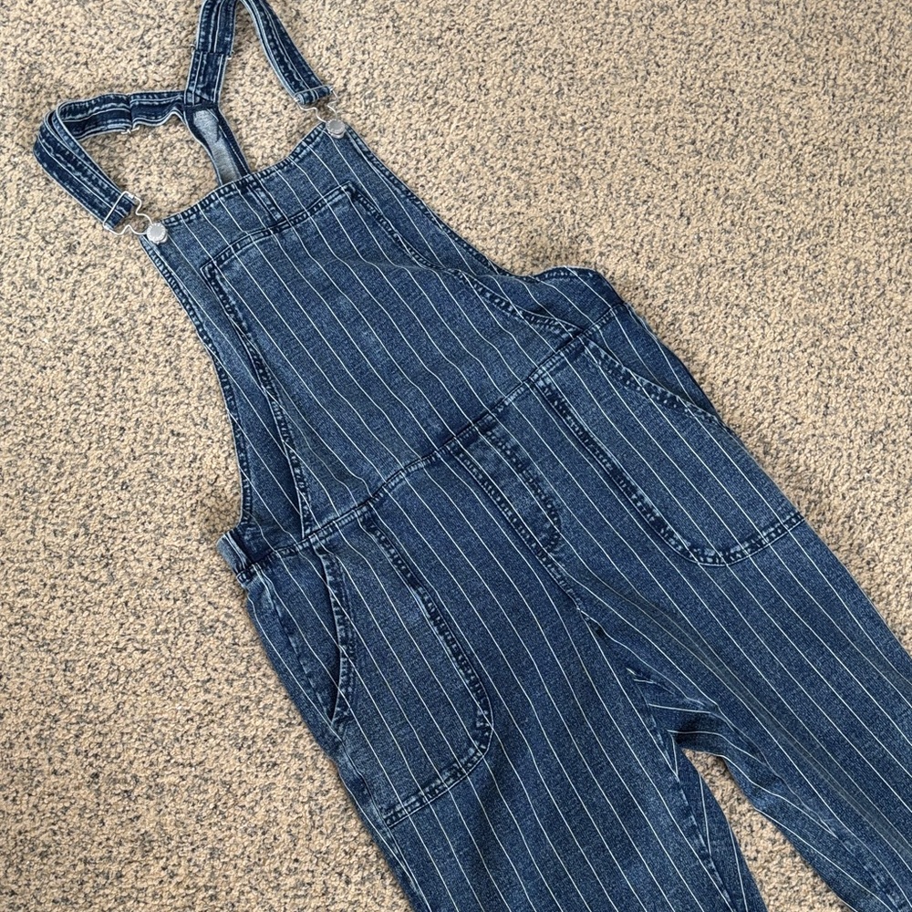 Z Supply Blue Striped Jumpsuit